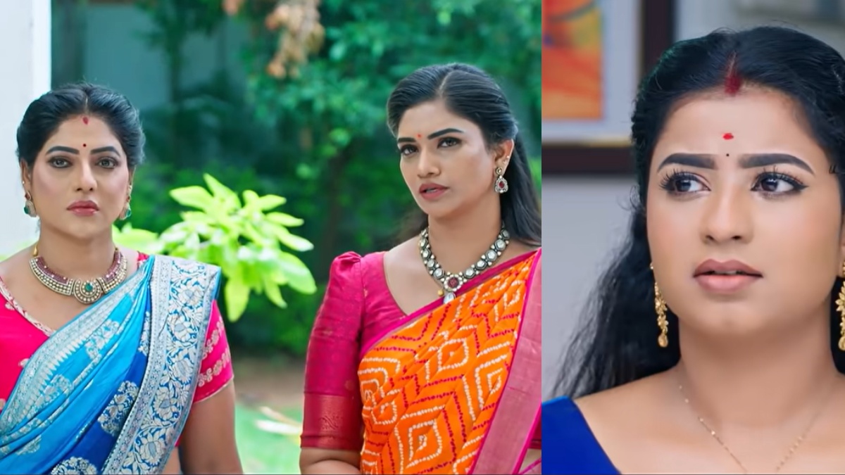 ரோகிணிக்கு வளைகாப்புக்கு நீங்க யாரும் வரக்கூடாது.. முகத்திலடித்த சாமுண்டீஸ்வரி.. கார்த்திகை தீபம்