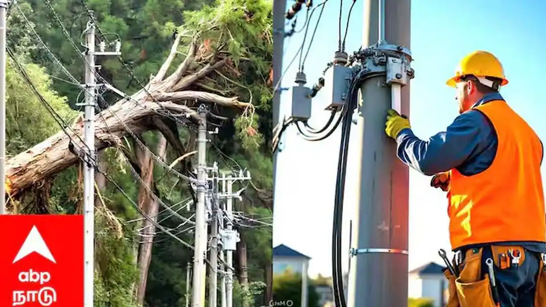Tamil Nadu Power Shutdown: தமிழகத்தின் பல மாவட்டங்களில் மின் தடை அறிவிப்பு: உங்கள் பகுதி உள்ளதா?