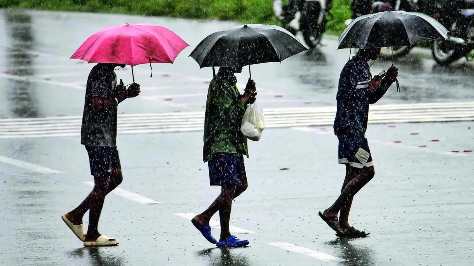 கேரளாவில் பருவமழை தொடங்கியது: ஜூன் 9 வரை கனமழை பெய்யும் என எதிர்பார்க்கப்படுகிறது