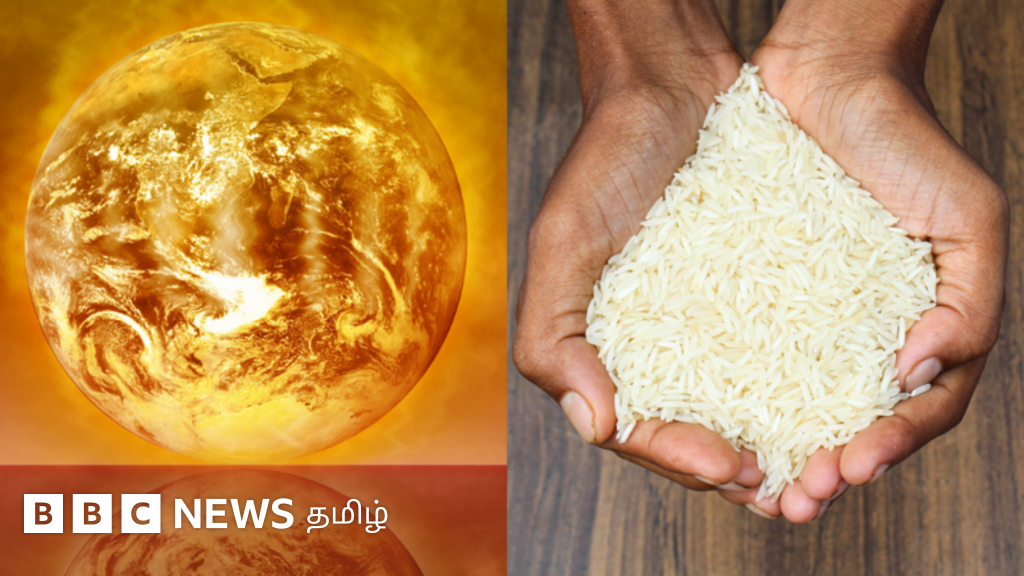 பசிபிக் பெருங்கடலில் உருவாகும் எல்