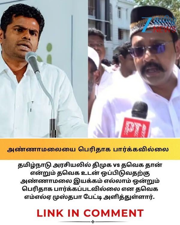 தவெக vs திமுக தான்.. அண்ணாமலை எல்லாம் ஒன்னு இல்ல.. அடித்தும் சொல்லும் TVK முஸ்தபா! #Annamalai #tvkalliance #tvk #tvkmustafa