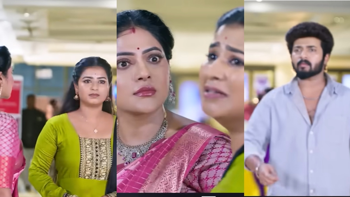 ரேவதியை நாடுகடத்தும் பிளான்.. இந்தியாவுக்கே வர முடியாதபடி பாஸ்போர்ட்டை எரிப்பேன்.. கார்த்திகை தீபம்