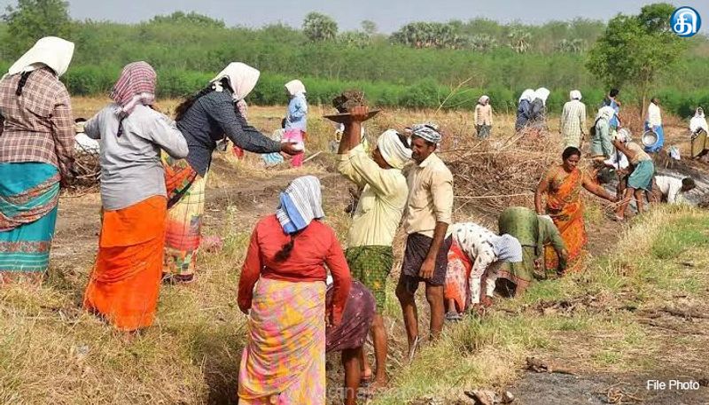 விபி ஜிராம் ஜி திட்டம் கொண்டு வரப்பட்ட முதல் மாதத்திலேயே ஊரக வேலைநாட்கள் பாதியாக சரிவு
