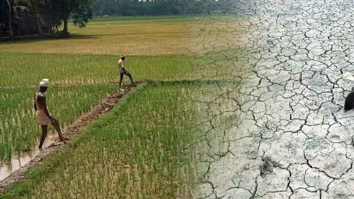 'பாலைவனமாகும் டெல்டா... காவிரி விவகாரத்தில் 'யு-டர்ன்' அடித்த தவெக