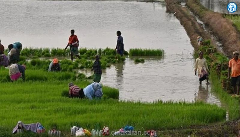 பயிர் கடன் தள்ளுபடி; மீண்டும் ஏமாற்றம்: விவசாய சங்கம் அறிவிப்பு