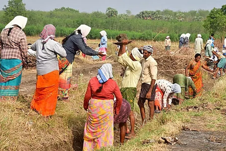 ஊரக வேலை உறுதித் திட்டம்: தமிழகத்துக்கு மத்திய அரசு ரூ.2,087 கோடி நிலுவை