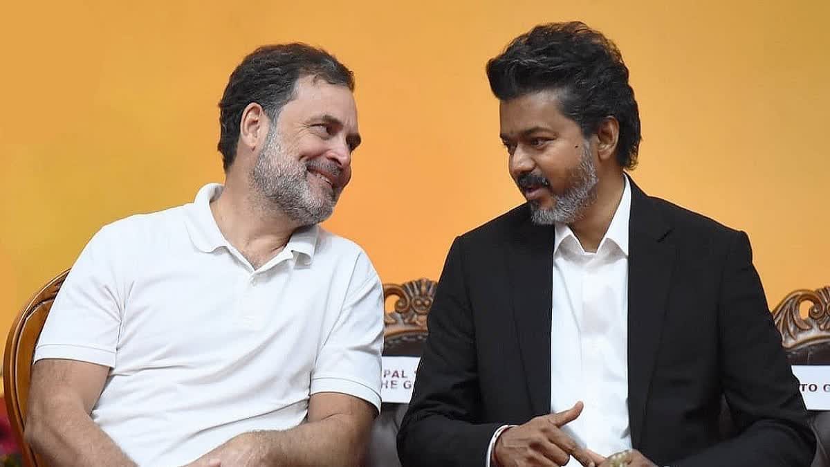 ராகுல் காந்தி Vs விஜய்