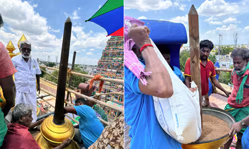 மீனாட்சி கோயில் கோபுர கலசங்களில் வரகு நிரப்பல் தங்க கொடிமரங்களும் ஜொலிக்கின்றன