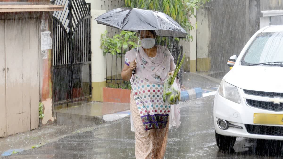 டெங்கு காய்ச்சல் பாதிப்புக்கு உள்ளானவர்களா நீங்கள்? பொது சுகாதாரத்துறை முக்கிய அறிவுறுத்தல்