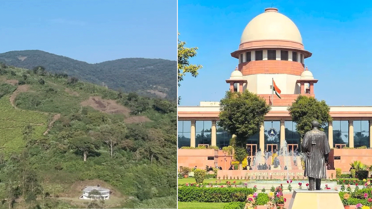 ஸ்ரீவில்லிப்புத்தூர் மேகமலை வனப்பகுதி ஆக்கிரமிப்பு விவகாரம்