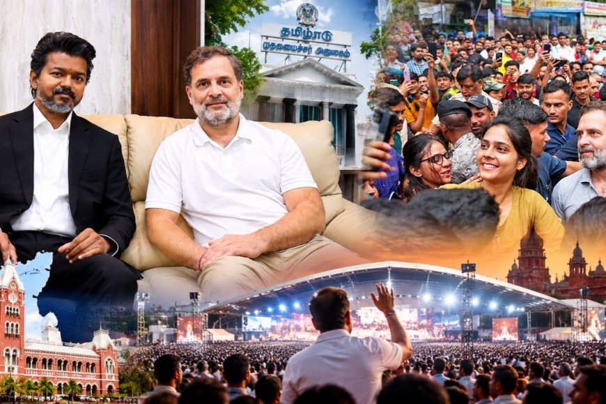 ராகுல்காந்தி சென்னை விசிட் ! விஜய்யுடன் நேரில் சந்திப்பு ! எகிறும் எதிர்பார்ப்பு !